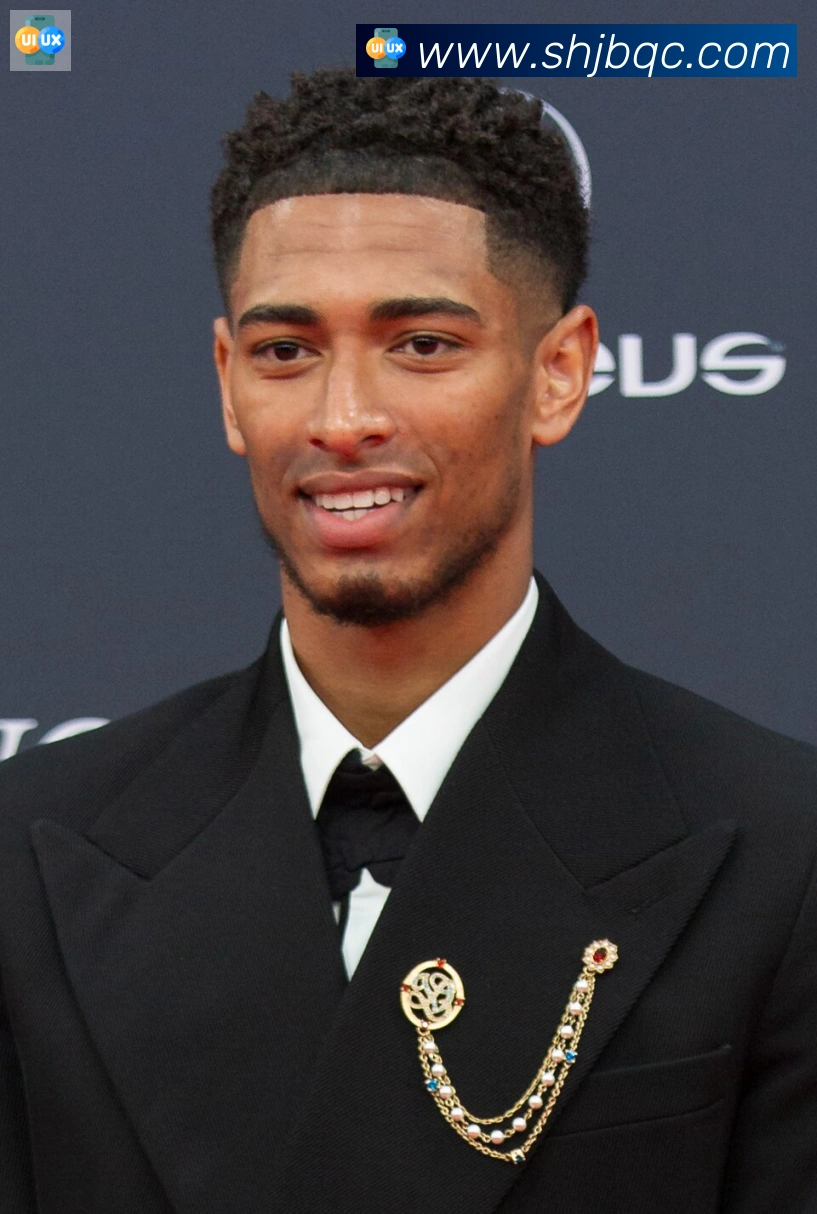 维尼修斯